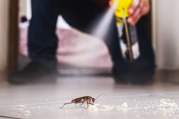 Best Best Pest Control Companies  in Sandy Hook, CT